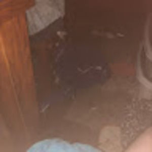 Meet your Posher, Paul